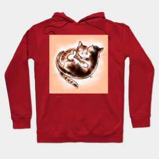 Sweet dream baby cat Hoodie